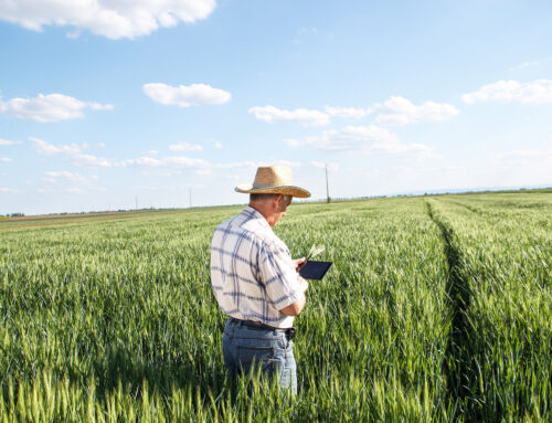 ¿Qué puede suceder en el Sector Agrícola – Ganadero en 2022 en la Región?
